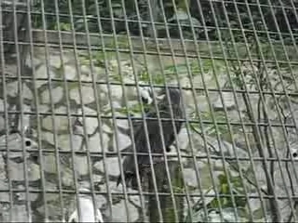 Bird Park
