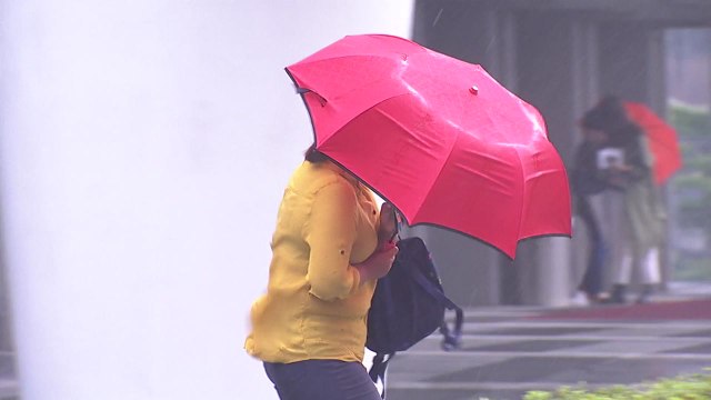 [날씨] 오늘 폭염 뒤 폭우...전국 강한 비바람 / YTN