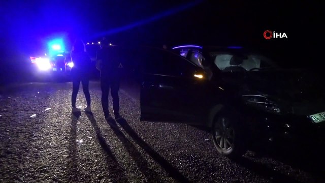 Gercüş’te otomobilin çarptığı eşek telef oldu