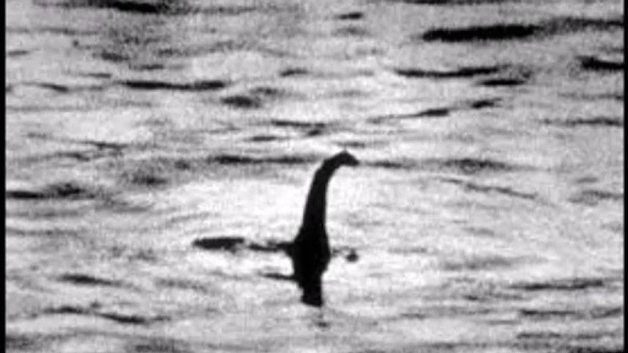 THE LOCH NESS MONSTER (facts)