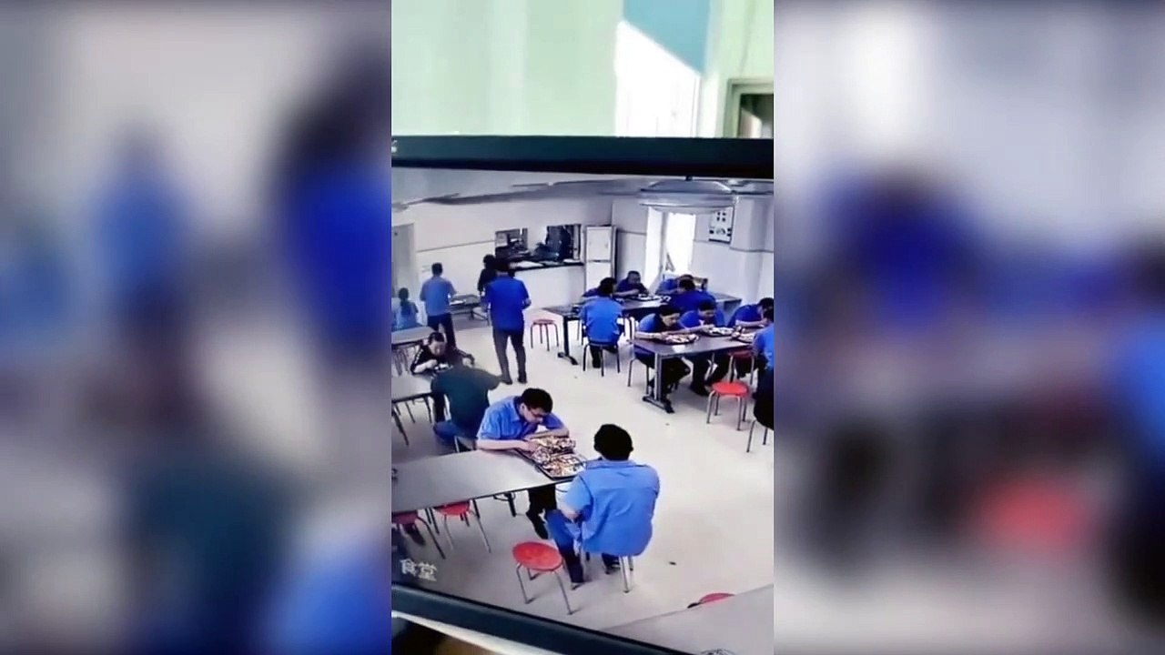 Des ouvriers attaqué par un sanglier pendant la pause repas