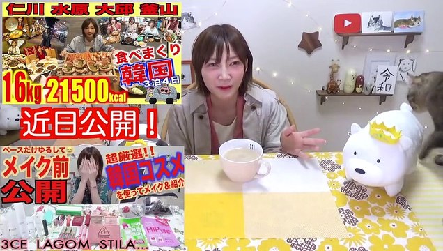 スイーツ大食い 韓国でめっちゃかわいいマカロンを大量購入したら空港で大変なことに 22個 推定6000kcal 木下ゆうか 韓国 Video Dailymotion