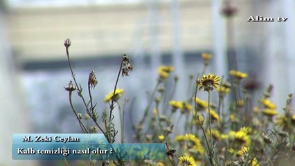 Kalb Temizliği Nasıl Olur