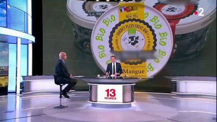 Entreprises : licenciés économiques, ils relancent une production de glaces avec succès