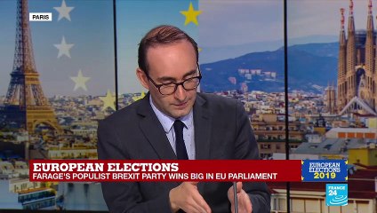 European Elections: "The remainers in UK are very split"