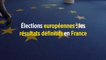 Européennes : les résultats définitifs en France