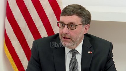 Palmer: SHBA mbeshtet qeverine, eshte legjitime