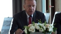 Cumhurbaşkanı Erdoğan, Demokrasi ve Özgürlükler Adasında İncelemelerde Bulundu