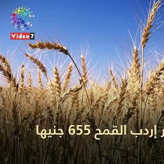 فيديو معلوماتى.. كيف قدرت دار الإفتاء المصرية قيمة زكاة الفطر؟