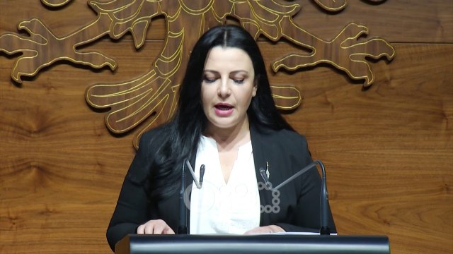 RTV Ora - Ministrat Lleshaj dhe Balluku, përgjegjës për sigurinë në aeroportin e Rinasit