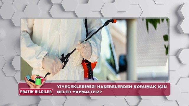Pratik Bilgiler | Yiyeceklerimizi haşerelerden korumak için neler yapmalıyız?