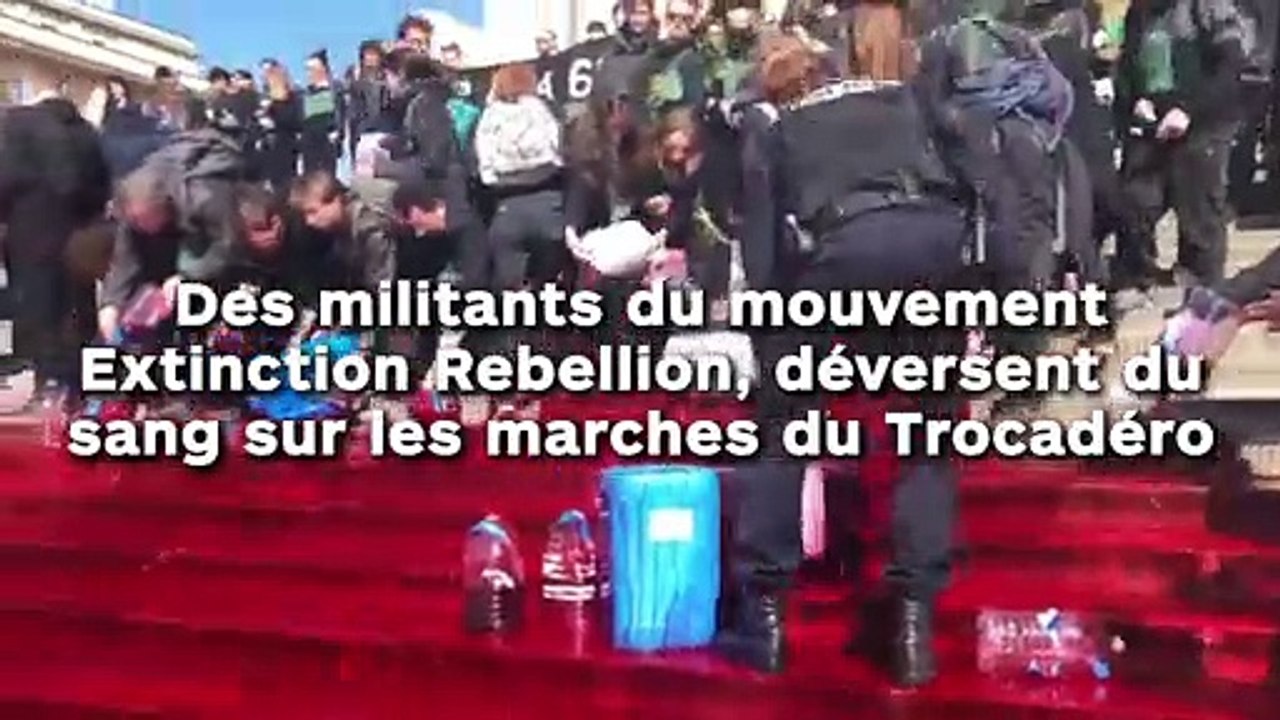 Des militants du mouvement  "Extinction Rebellion" font une "opération coup de poing" sur les marches du Trocadéro !