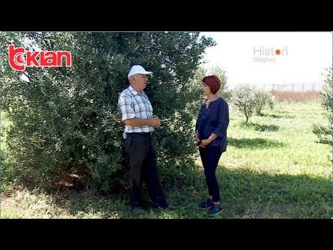 Histori shqiptare nga Alma Çupi - Valiasi, arka e Noas e bimesise autoktone! (13 prill 2019)