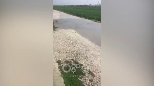 RTV Ora - Banorët e Magjatës 'lundrojnë' në ujërat e zeza