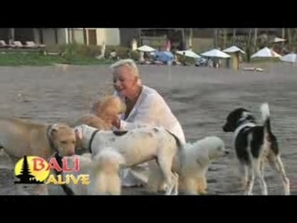 Bali : Lizzie Love Dogs