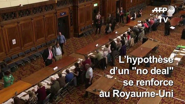 Européennes: large victoire du Parti du Brexit au Royaume-Uni
