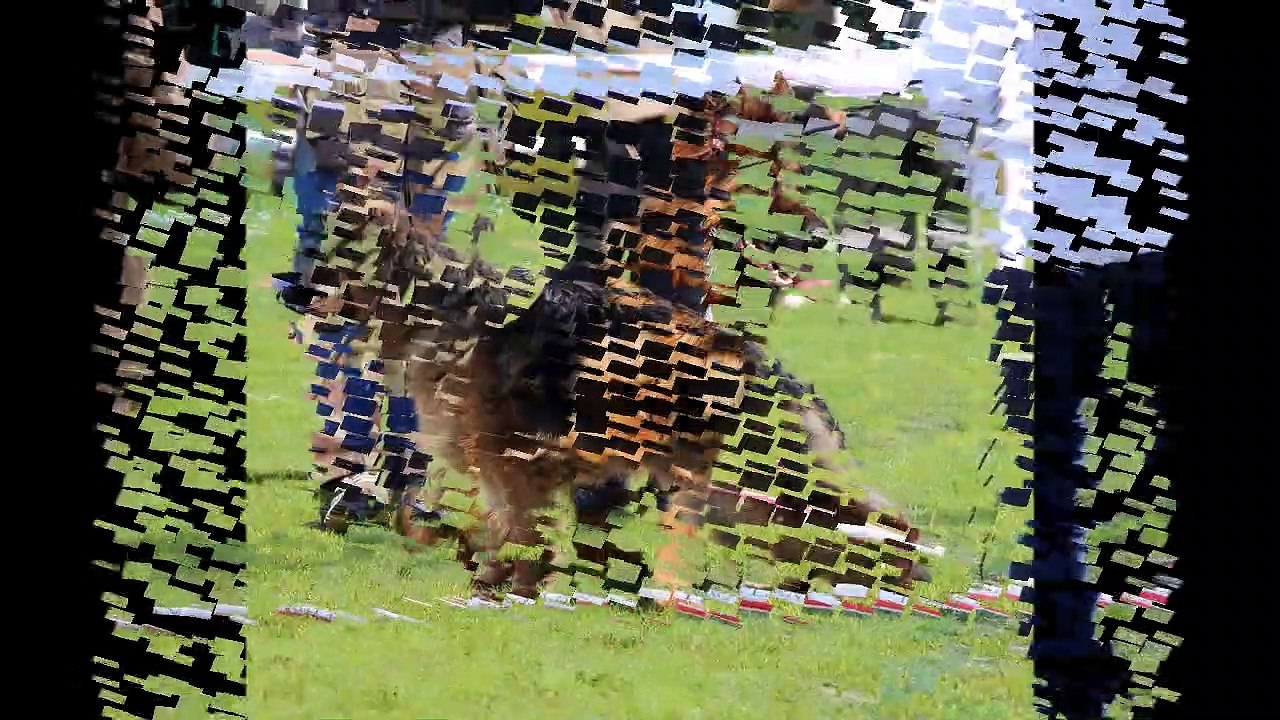 Lewis des trois lieux et sa descendance