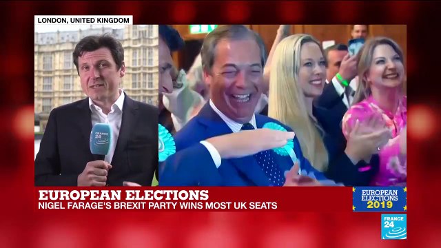 European Elections: Why did the Brexit party come out on top?