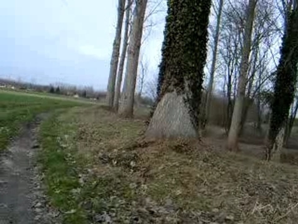 jess grimpe aux arbres