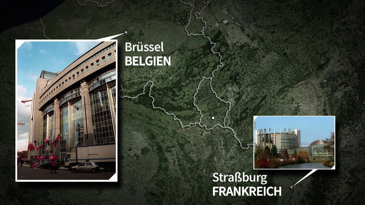 Videografik: So arbeitet das EU-Parlament