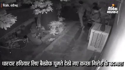 धारदार हथियार लेकर बैखोफ घूमा कच्छा गिरोह