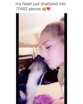 Très Émouvant ! Ce chien et sa maîtresse vont vous faire verser des larmes.