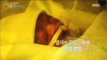[PEOPLE] a child born prematurely but well-bred,MBC 다큐스페셜 20190527