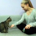 Cette jeune fille et son chat ont préparés une belle surprise pour vous. Regardez !