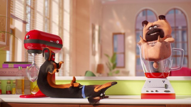 Evcil Hayvanların Gizli Yaşamı 2 Filminin Dublajlı Fragmanını / Videosunu İzleyin – 5 Haziran’da Vizyonda!