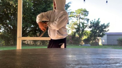 Jouer avec un écureuil