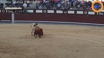 Ce matador va passer un très mauvais moment avec ce taureau...