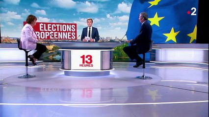 Élections européennes : forte poussée écologiste partout en Allemagne