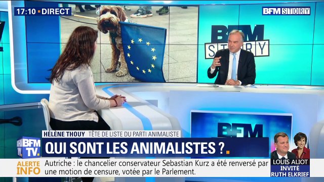 Élections européennes: succès surprise du parti animaliste