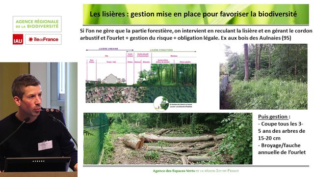 7 - Jean-François ANTOINE - Rencontre technique Continuités écologiques et forêts 2019