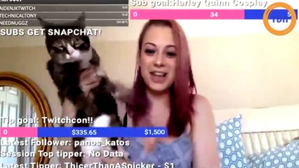 Le chat de cette streameuse va bannir accidentellement cette dernière...
