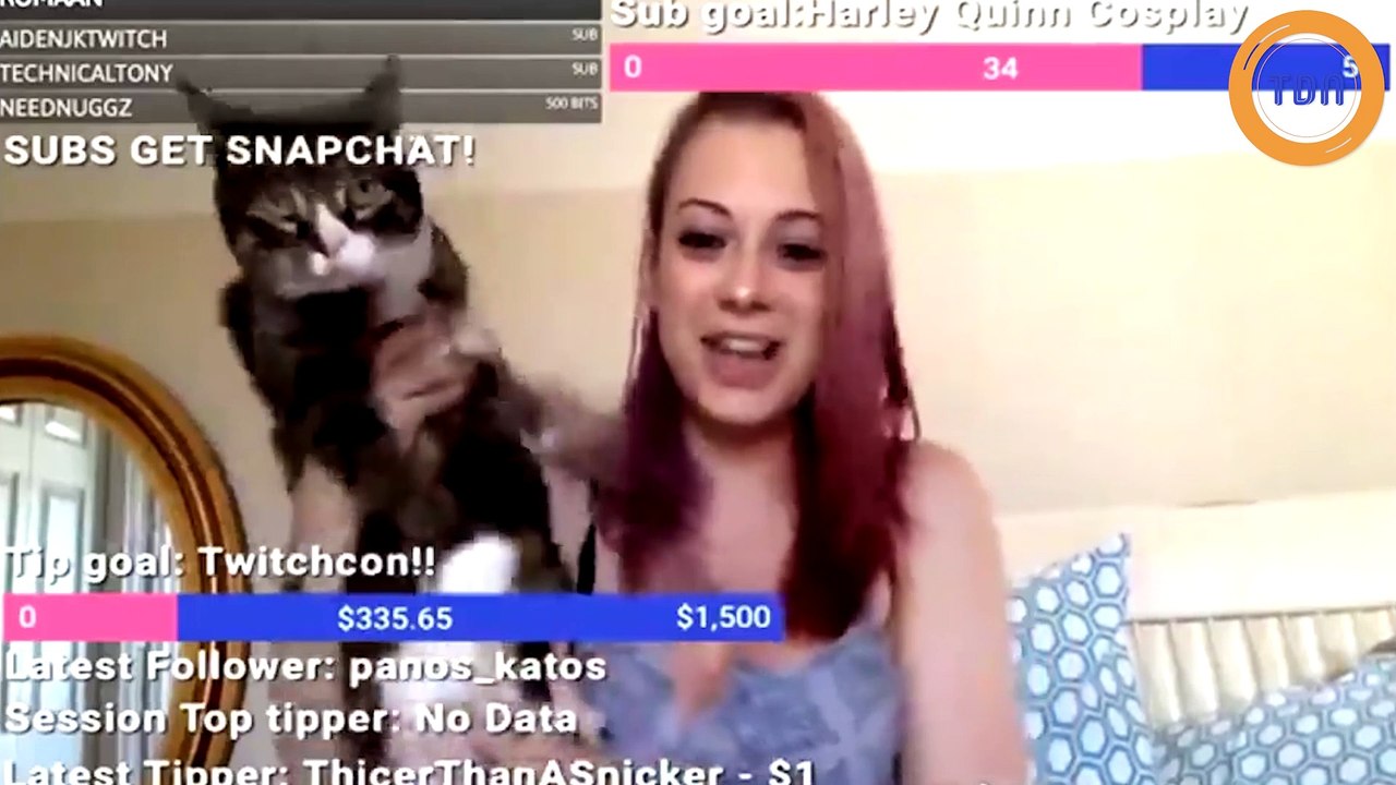 Le chat de cette streameuse va bannir accidentellement cette dernière...