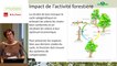 11 - Élise AVENAS  - Rencontre technique "Continuités écologiques et forêts" 2019