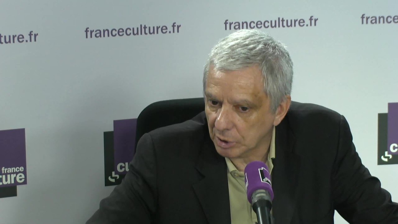Jean-Yves Camus : "Cette progression des populistes eurosceptiques ou xénophobes est moindre que celle que les plus pessimistes attendaient"