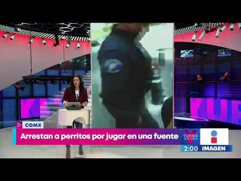 Perritos arrestados en la colonia Roma | Noticias con Yuriria Sierra