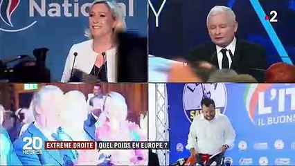 Élections européennes : quel poids pour l'extrême droite au Parlement ?