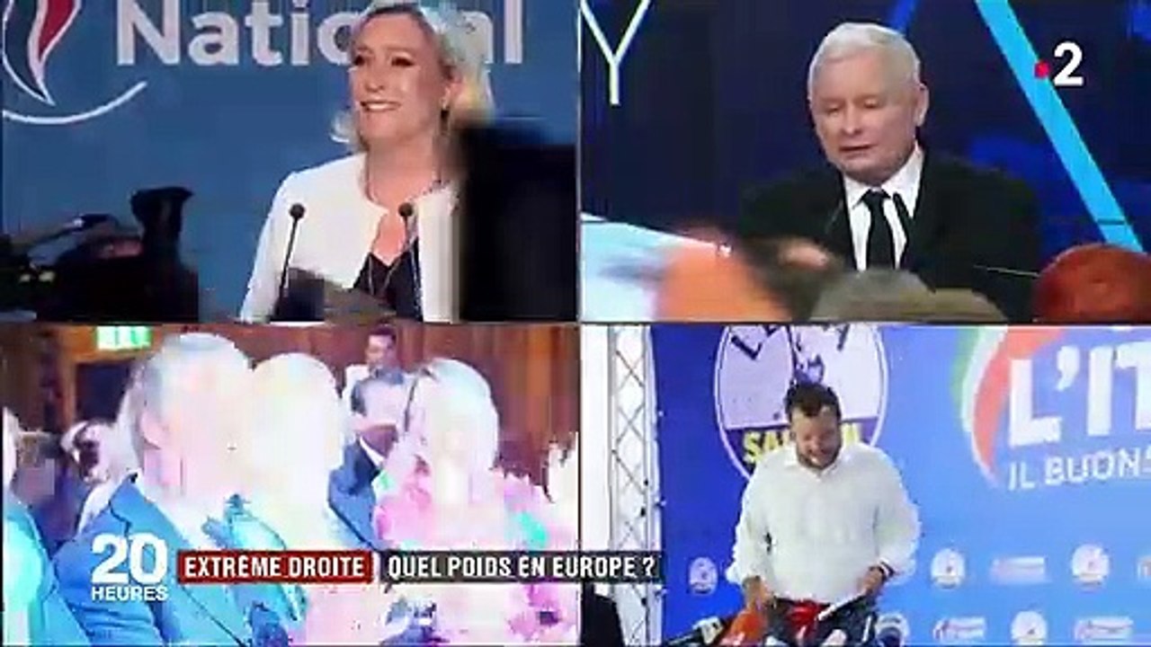 Élections européennes : quel poids pour l'extrême droite au Parlement ?