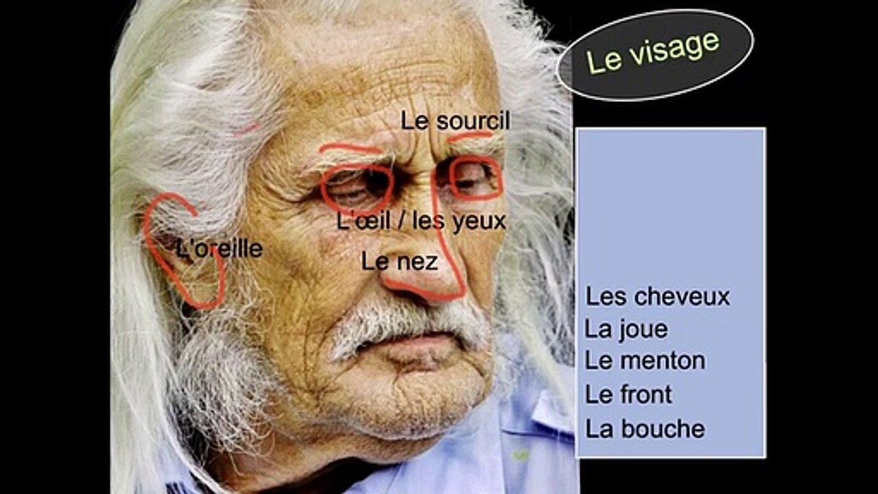 Vocabulaire anatomique du corps humain