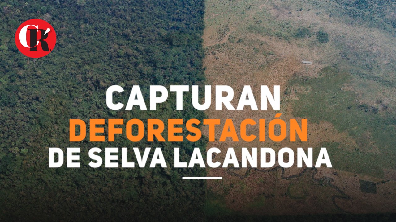 Capturan deforestación de Selva Lacandona