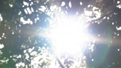 [날씨] 출근길 쌀쌀...낮 동안 쾌청하고 포근 / YTN