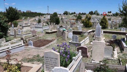 Sivas’ta 25 bin meçhul mezar...Yukarı Tekke Mezarlığı’nda bulunan 82 bin mezarın 25 bininin kaydı yok