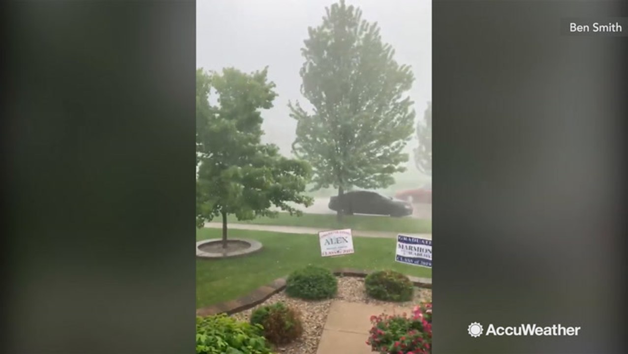 Trees blown sideways by powerful storm