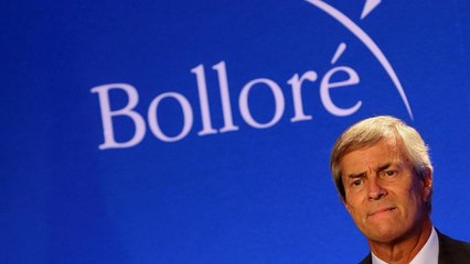 Huile de palme au Cameroun : Bolloré assigné en justice par dix ONG