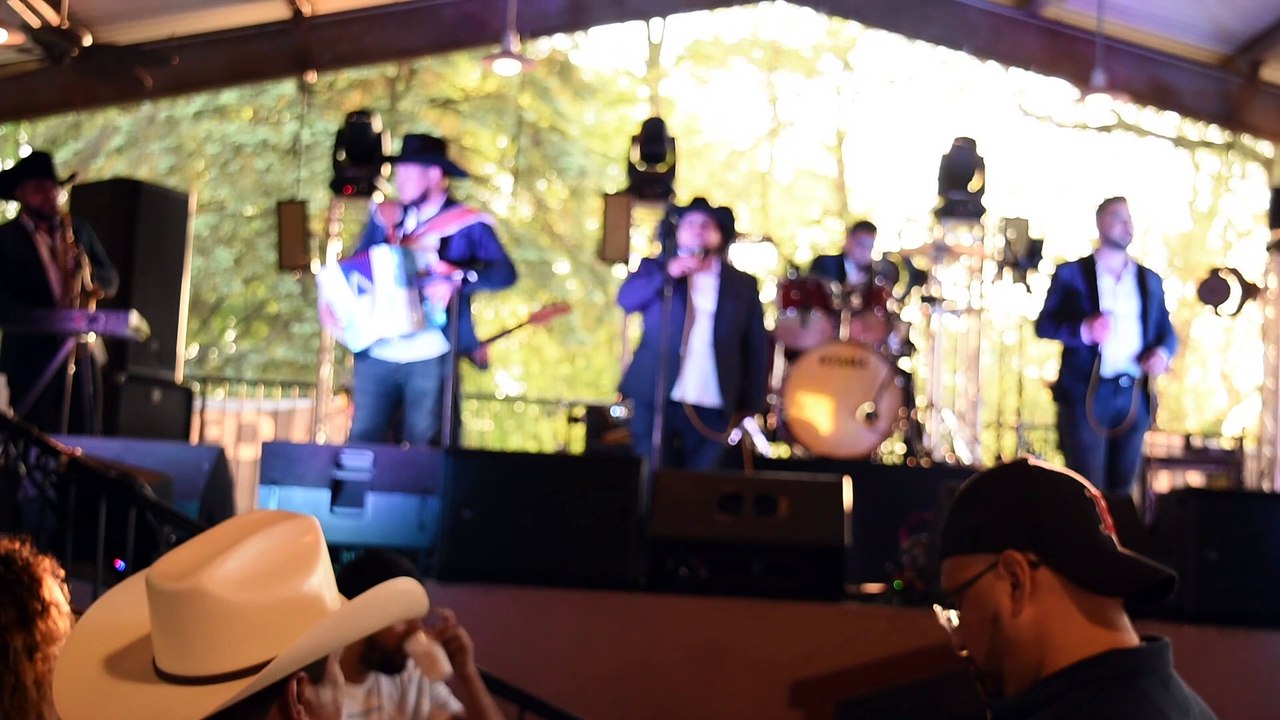 el gato negro,y Laurita Garza