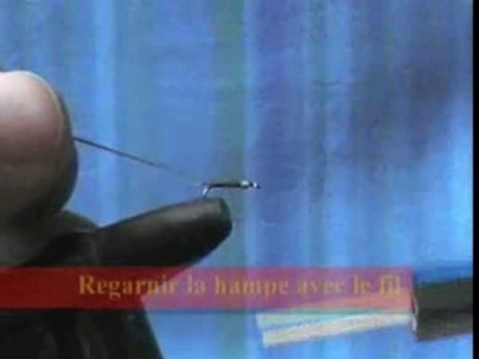Nymphe quill de paon
