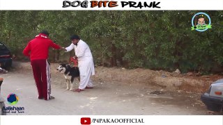 DOG BITE PRANK | By Nadir Ali In P4 Pakao 2019